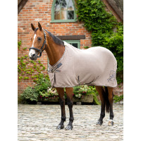 Camicia asciugante in bambù Kudos LeMieux Acqua Camicia asciugante in bambù Kudos LeMieux Acqua