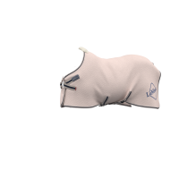 Camicia asciugante in bambù Kudos LeMieux Acqua Camicia asciugante in bambù Kudos LeMieux Acqua