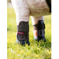 Guêtres Capella LeMieux Toy Pony Marrone