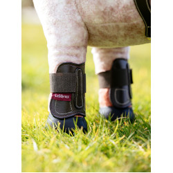 Guêtres Capella LeMieux Toy Pony Marrone