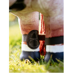 Guêtres Capella LeMieux Toy Pony Marrone