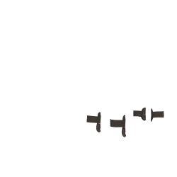 Guêtres Capella LeMieux Toy Pony Marrone