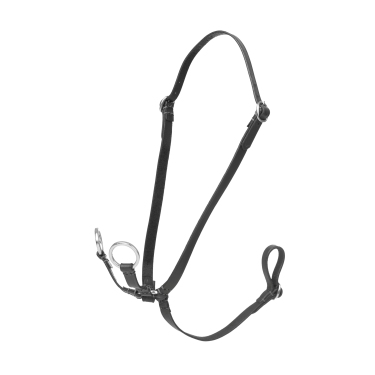 Martingala ad anelli Hobby Horse LeMieux