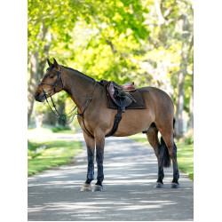 Tapis de selle Pillow LeMieux Marrone