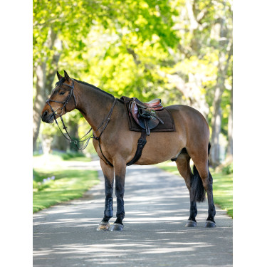 Tapis de selle Pillow LeMieux Marrone
