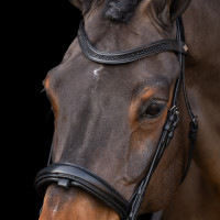 Briglia con capezzina inglese Imperial Riding Nero / nero Briglia con capezzina inglese Imperial Riding Nero / nero