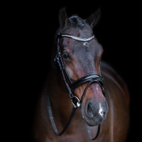 Briglia con capezzina inglese Imperial Riding Nero / nero