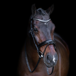 Briglia con capezzina inglese Imperial Riding Nero / cristallo