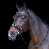 Briglia con capezzina inglese Imperial Riding Nero / cristallo