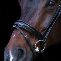 Briglia con capezzina inglese Imperial Riding Nero / nero