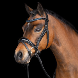 Briglia Imperial Riding Piccolo