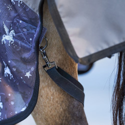 Coperta anti-mosche e antipioggia Imperial Riding Super-dry AOP Polvere di fata grigia AOP Motivi Coperta anti-mosche e antipioggia Imperial Riding Super-dry AOP Polvere di fata grigia AOP Motivi