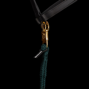 Lunga da attacco Imperial Riding Classic anti-panico Verde foresta
