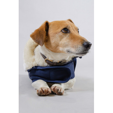 Coperta per Cane Harcour River Marina Blu marino