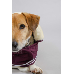 Coperta per cane Harcour Rocket Viola