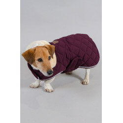 Coperta per cane Harcour Rocket Viola