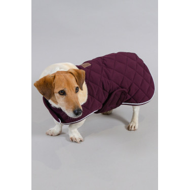 Coperta per cane Harcour Rocket Viola Coperta per cane Harcour Rocket Viola