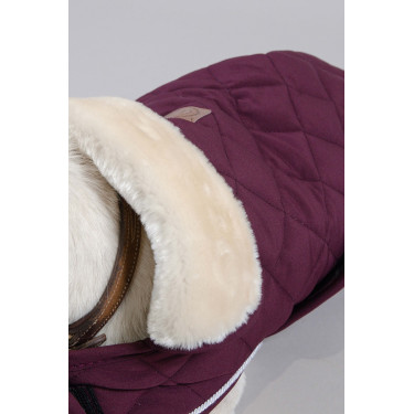 Coperta per cane Harcour Rocket Viola Coperta per cane Harcour Rocket Viola