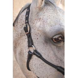 Capezzina Harcour Honey Nero