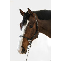 Capezzina Harcour Honey Nero