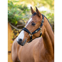 Capezzina LeMieux Versailles Nero