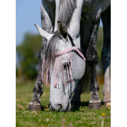 Frangia anti-mosche LeMieux Fioritura Rosa Frangia anti-mosche LeMieux Fioritura Rosa