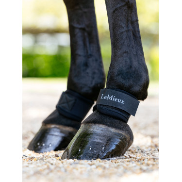 Paranocche LeMieux in neoprene Paranocche LeMieux in neoprene
