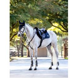 Sottosella LeMieux CC Puissance Scamosciato Marina Blu marino