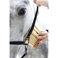Cavezza da grooming ProConfort Dialou Marrone Cavezza da grooming ProConfort Dialou Marrone