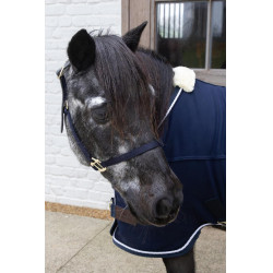 Capestro in nylon Breakaway Kentucky Marina Blu marino Capestro in nylon Breakaway Kentucky Marina Blu marino