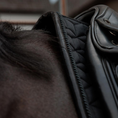 Sottosella Kentucky Sparkling Dressage Sottosella Kentucky Sparkling Dressage