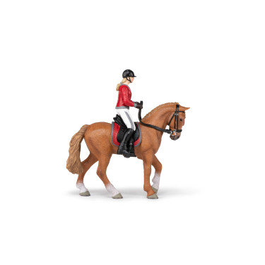 Cavallo da passeggiata e la sua cavallerizza Papo