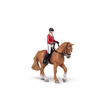 Cavallo da passeggiata e la sua cavallerizza Papo