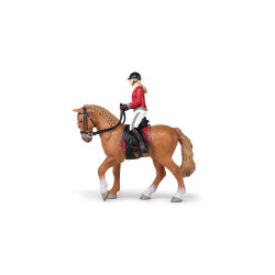 Cavallo da passeggiata e la sua cavallerizza Papo