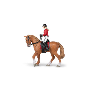 Cavallo da passeggiata e la sua cavallerizza Papo