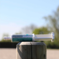 Alimento complementare LPC Quick Lythe Flash