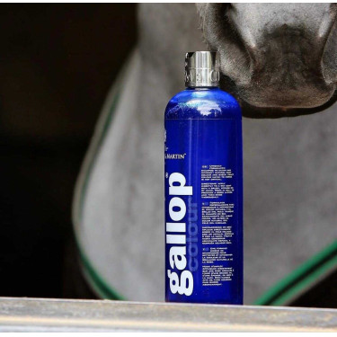 Shampoo Gallop® Carr & Day & Martin Grigio Shampoo Gallop® Carr & Day & Martin Grigio