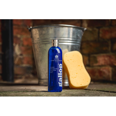 Shampoo Gallop® Carr & Day & Martin Grigio Shampoo Gallop® Carr & Day & Martin Grigio