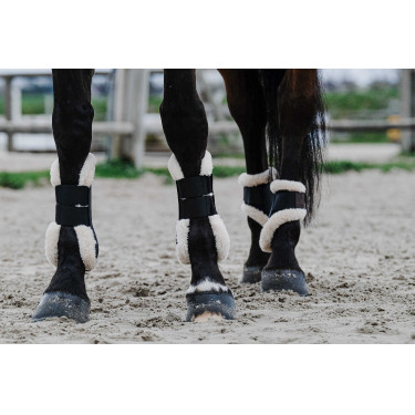 Paragambe Equithème Boa Nero Paragambe Equithème Boa Nero