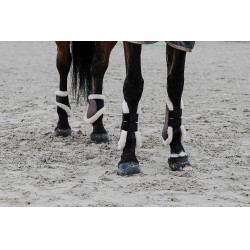 Paragambe Equithème Boa Paragambe Equithème Boa