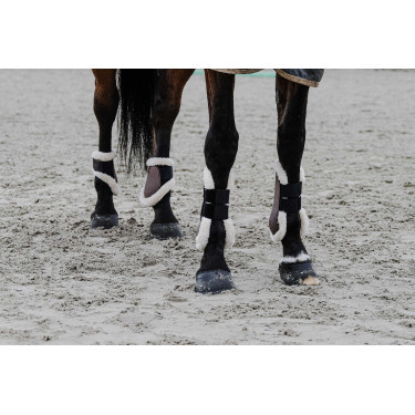 Paragambe Equithème Boa Paragambe Equithème Boa