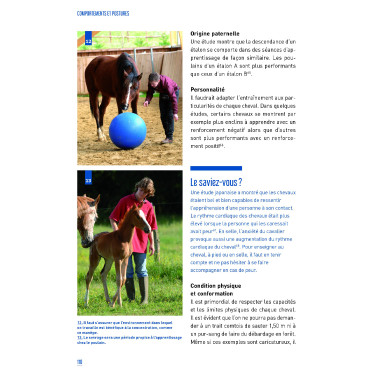 Comportamenti e posture Comportamenti e posture