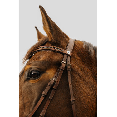 Briglia Norton Club Strass V Avana Marrone