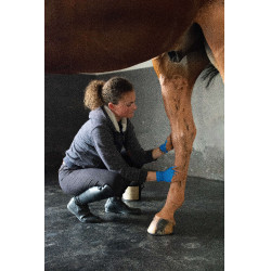 Argilla rosa Pénélope Terra Clay