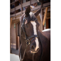 Briglia Pénélope Smoothie Pearl