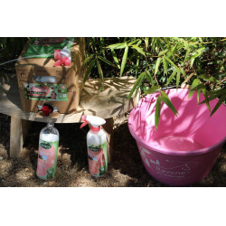 Easy Shine Ravene Eco-Ricarica