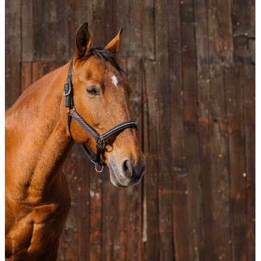 Capestro in nylon Equithème Domino Rame Marrone Capestro in nylon Equithème Domino Rame Marrone