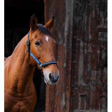 Capestro in nylon Equithème Domino Blu reale