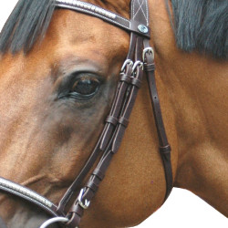 Briglia Deauville Combinato Privilege Equitazione Briglia Deauville Combinato Privilege Equitazione