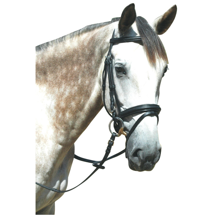 Bridon Pull Back Le Touquet Privilege Equitazione
